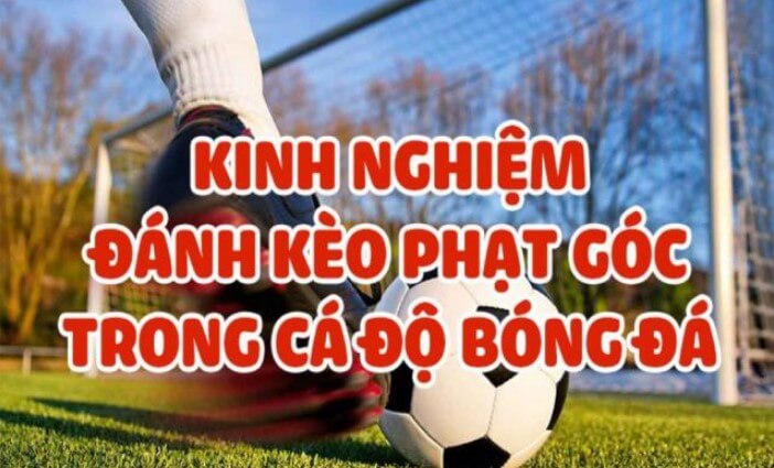 Kinh nghiệm soi kèo phạt góc từ các chuyên gia